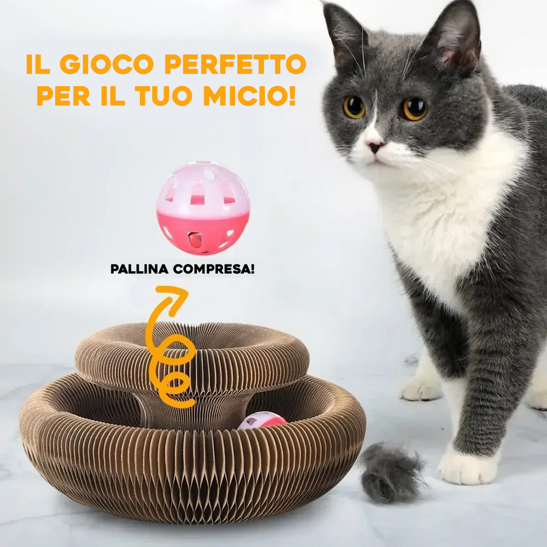 GIOCO INTERATTIVO PER GATTI