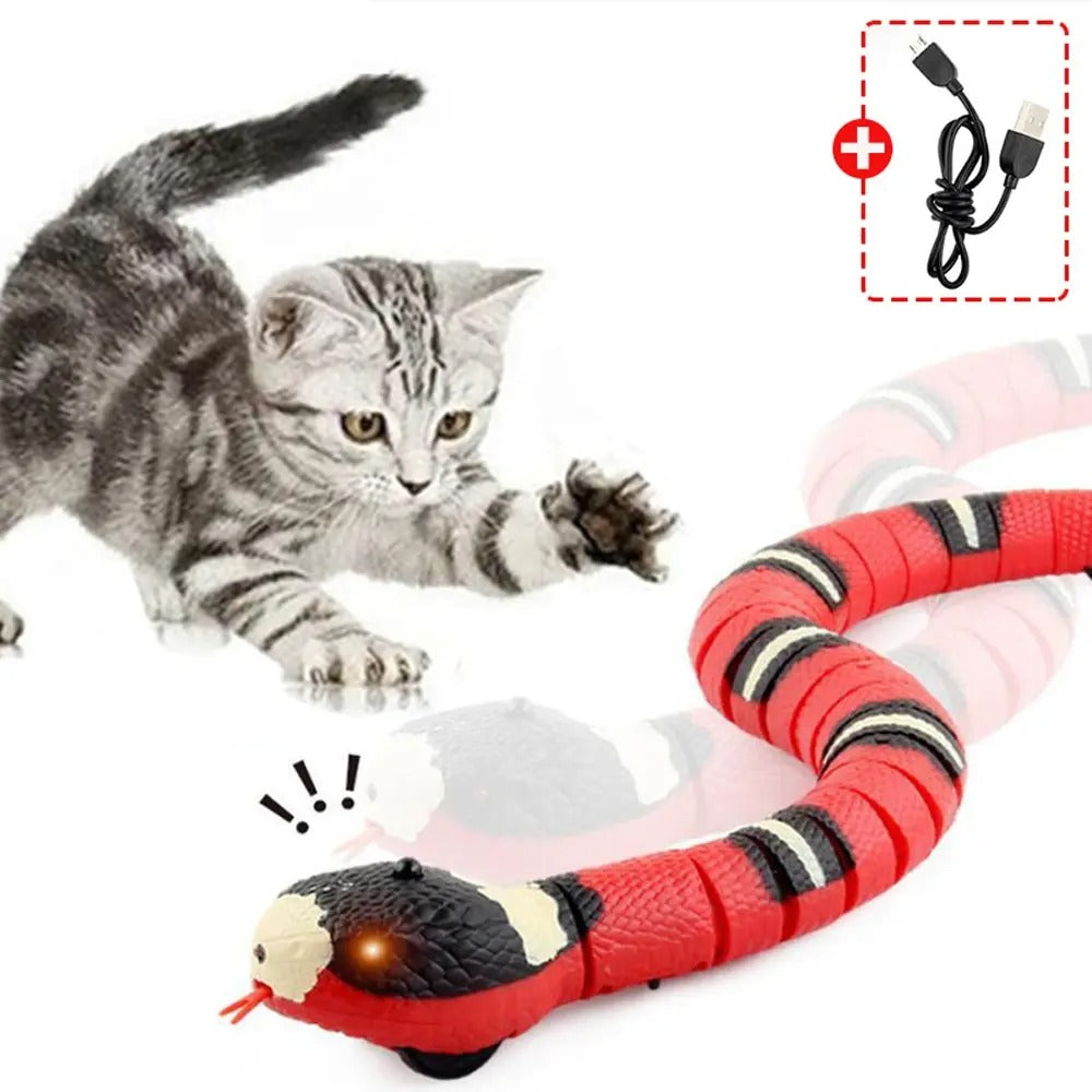 GIOCO SERPENTE AUTOMATICO PER GATTI